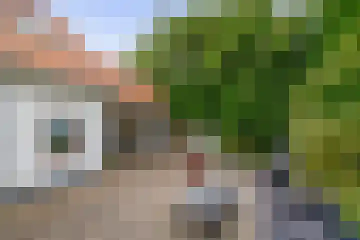 Generaal Snijdersstraat 2 Nieuwe-Tonge thumbnail 10