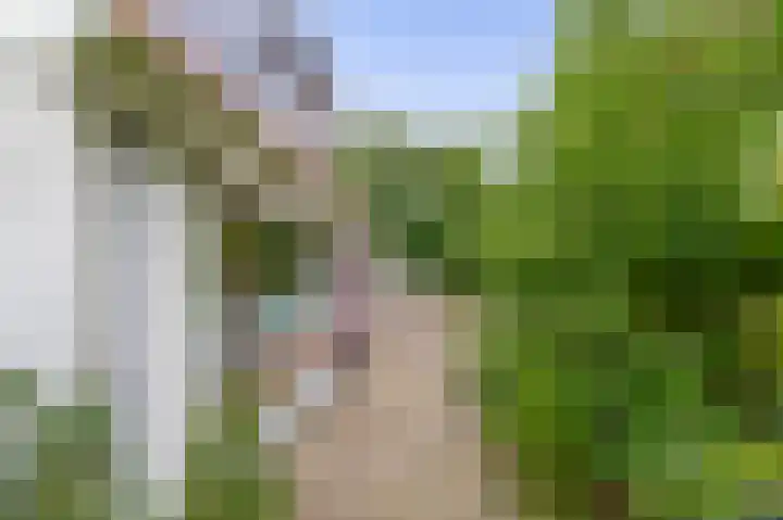 Generaal Snijdersstraat 2 Nieuwe-Tonge thumbnail 11