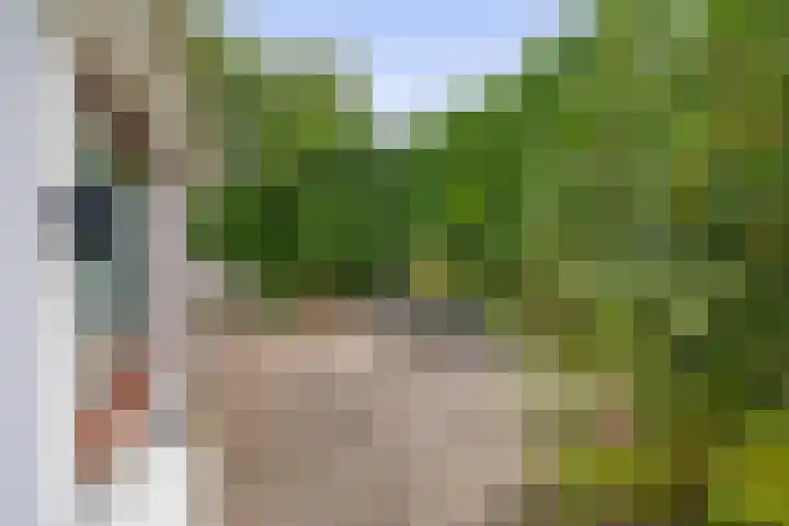 Generaal Snijdersstraat 2 Nieuwe-Tonge thumbnail 13