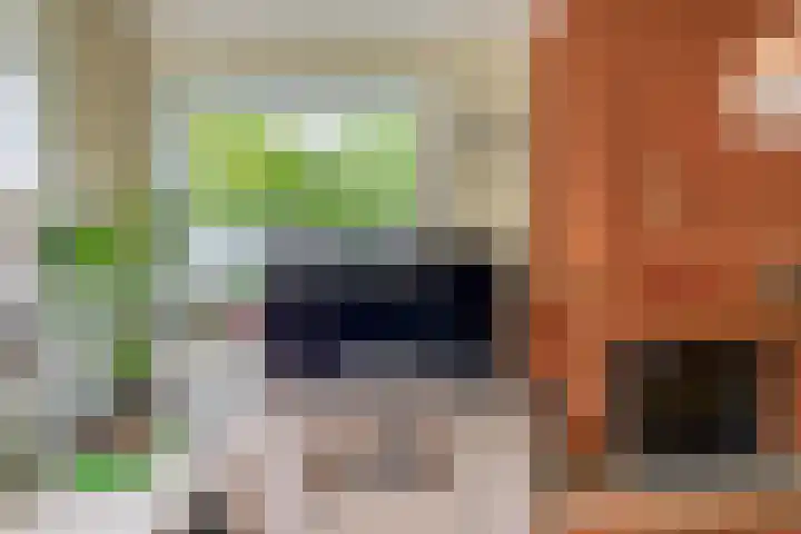 Generaal Snijdersstraat 2 Nieuwe-Tonge thumbnail 18