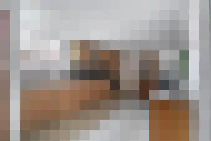 Generaal Snijdersstraat 2 Nieuwe-Tonge thumbnail 26