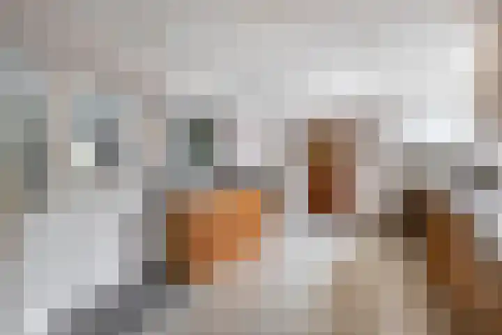 Generaal Snijdersstraat 2 Nieuwe-Tonge thumbnail 27