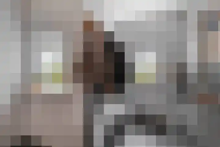 Generaal Snijdersstraat 2 Nieuwe-Tonge thumbnail 33