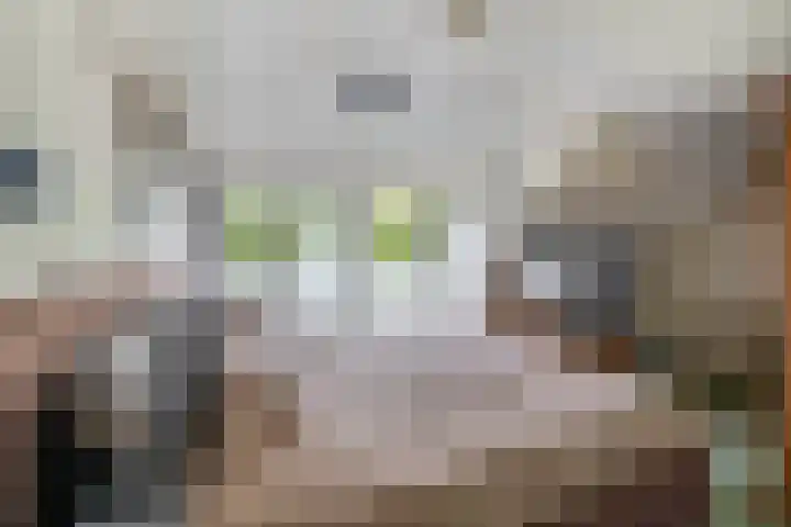 Generaal Snijdersstraat 2 Nieuwe-Tonge thumbnail 34