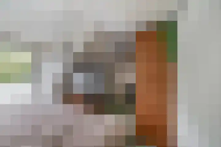 Generaal Snijdersstraat 2 Nieuwe-Tonge thumbnail 35
