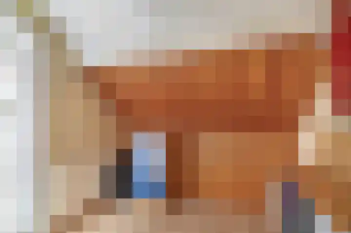 Generaal Snijdersstraat 2 Nieuwe-Tonge thumbnail 47