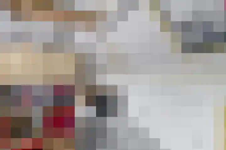 Generaal Snijdersstraat 2 Nieuwe-Tonge thumbnail 53