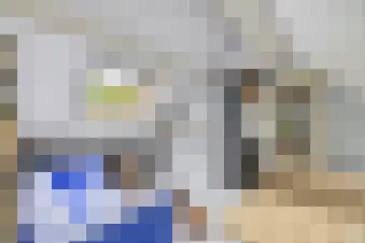 Generaal Snijdersstraat 2 Nieuwe-Tonge thumbnail 54