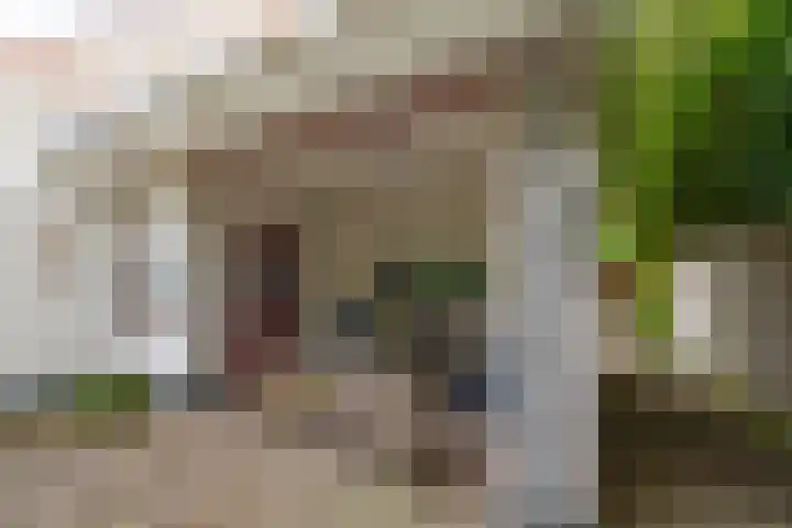 Generaal Snijdersstraat 2 Nieuwe-Tonge thumbnail 57