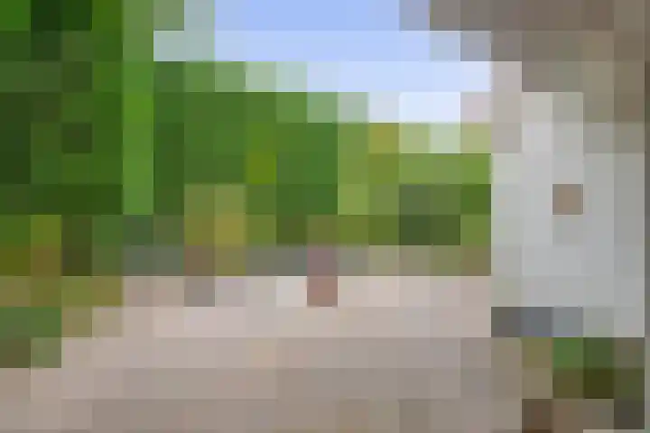 Generaal Snijdersstraat 2 Nieuwe-Tonge thumbnail 59