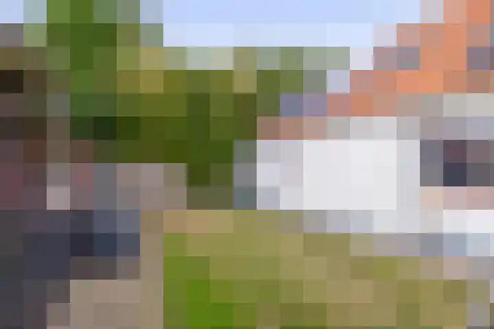 Generaal Snijdersstraat 2 Nieuwe-Tonge thumbnail 61