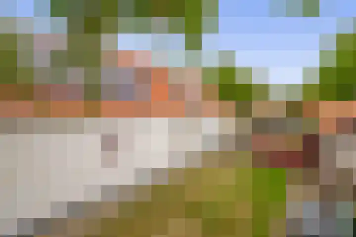 Generaal Snijdersstraat 2 Nieuwe-Tonge thumbnail 63