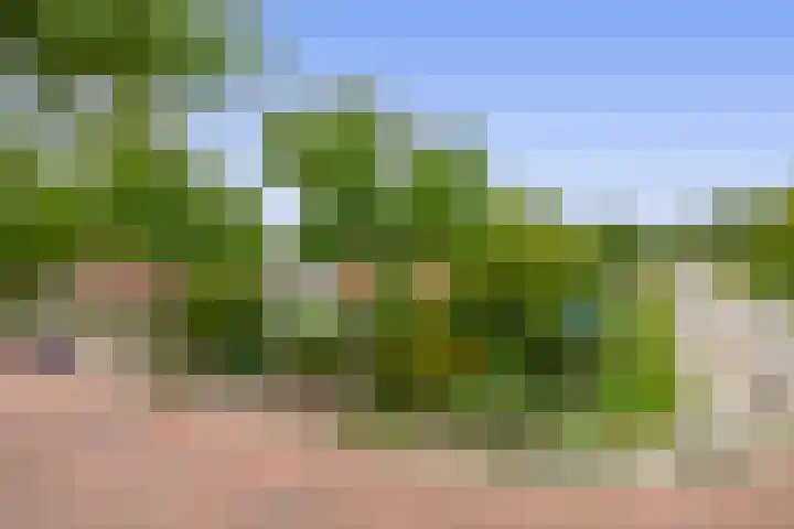 Generaal Snijdersstraat 2 Nieuwe-Tonge thumbnail 64