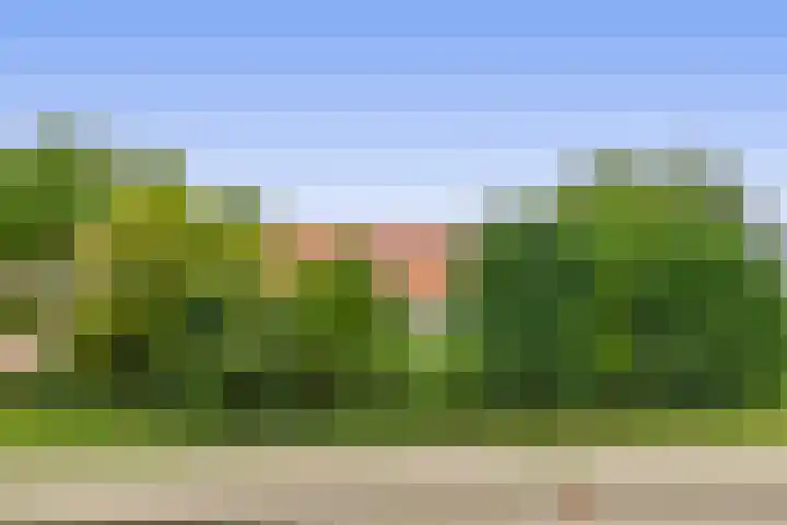 Generaal Snijdersstraat 2 Nieuwe-Tonge thumbnail 7