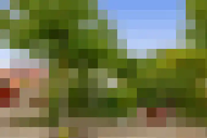 Generaal Snijdersstraat 2 Nieuwe-Tonge thumbnail 8
