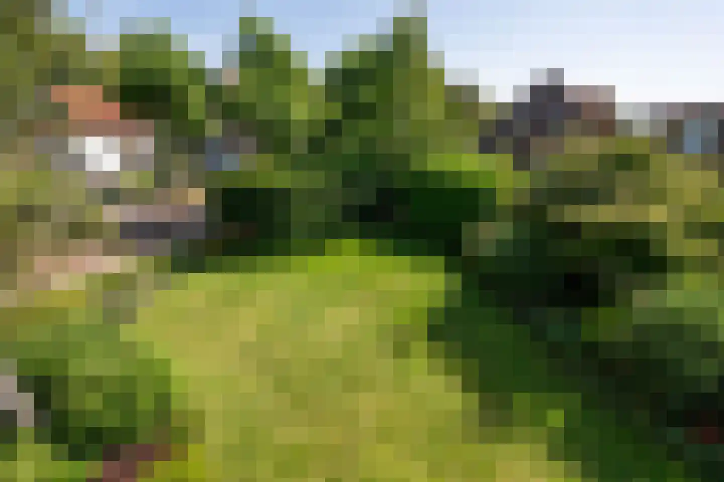 Generaal Snijdersstraat 28 Nieuwe-Tonge thumbnail 19