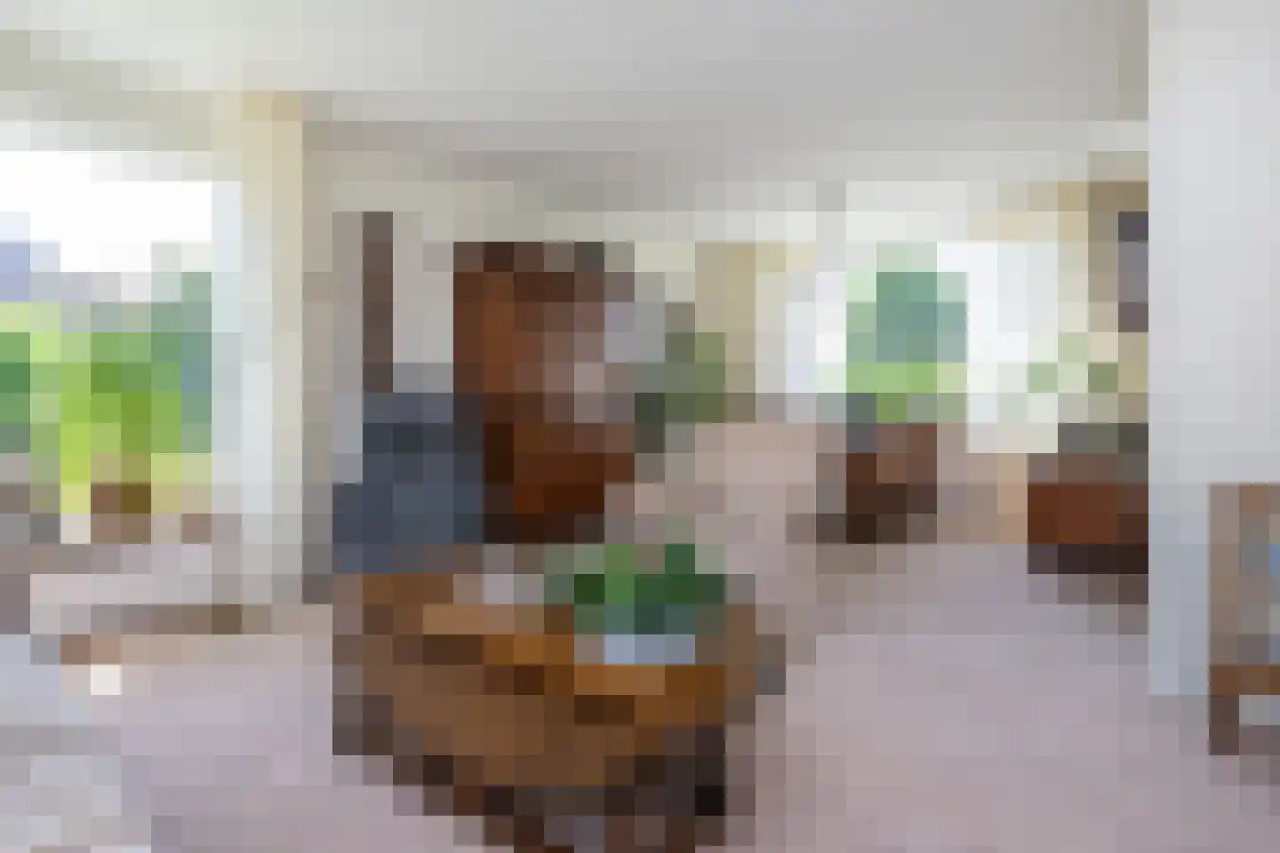 Generaal Snijdersstraat 28 Nieuwe-Tonge thumbnail 7