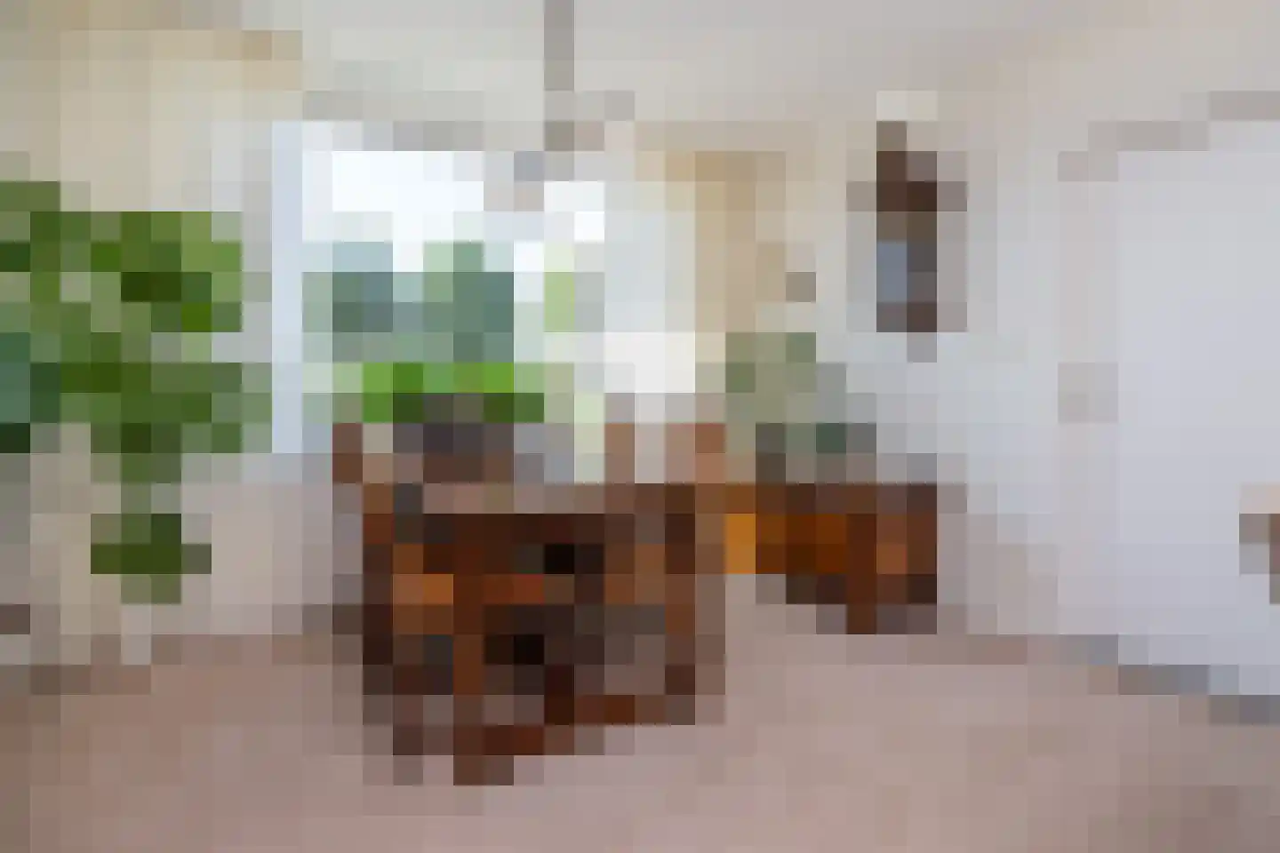 Generaal Snijdersstraat 28 Nieuwe-Tonge thumbnail 8