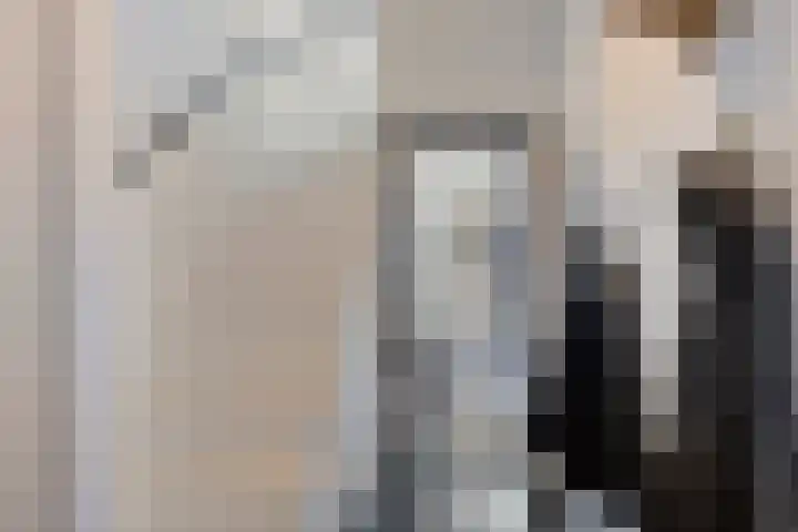 Generaal Snijdersstraat 31 Helmond thumbnail 8