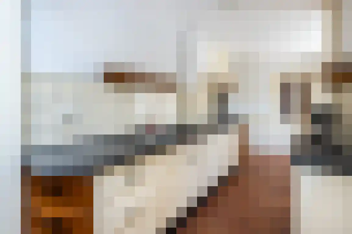 Generaal Snijdersstraat 31 Nieuwe-Tonge thumbnail 17