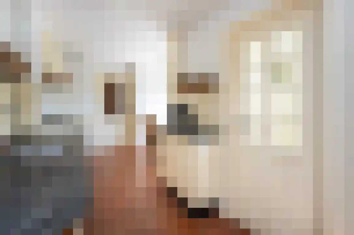 Generaal Snijdersstraat 31 Nieuwe-Tonge thumbnail 18