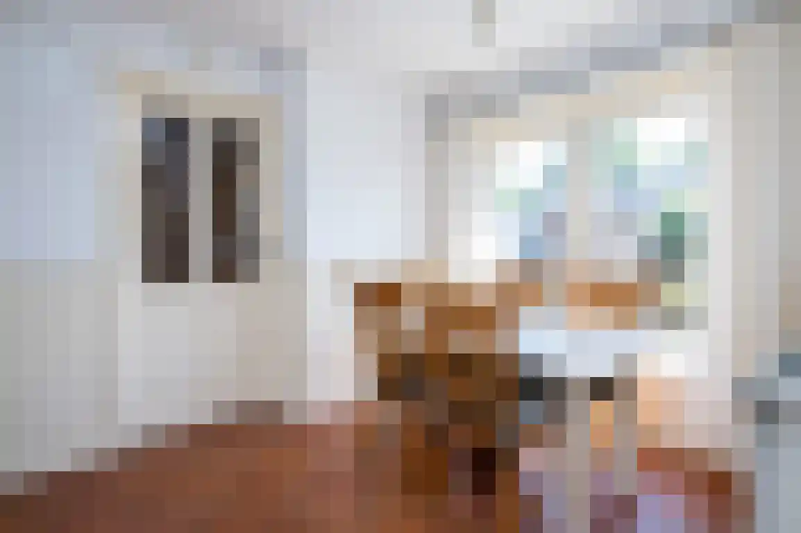 Generaal Snijdersstraat 31 Nieuwe-Tonge thumbnail 20