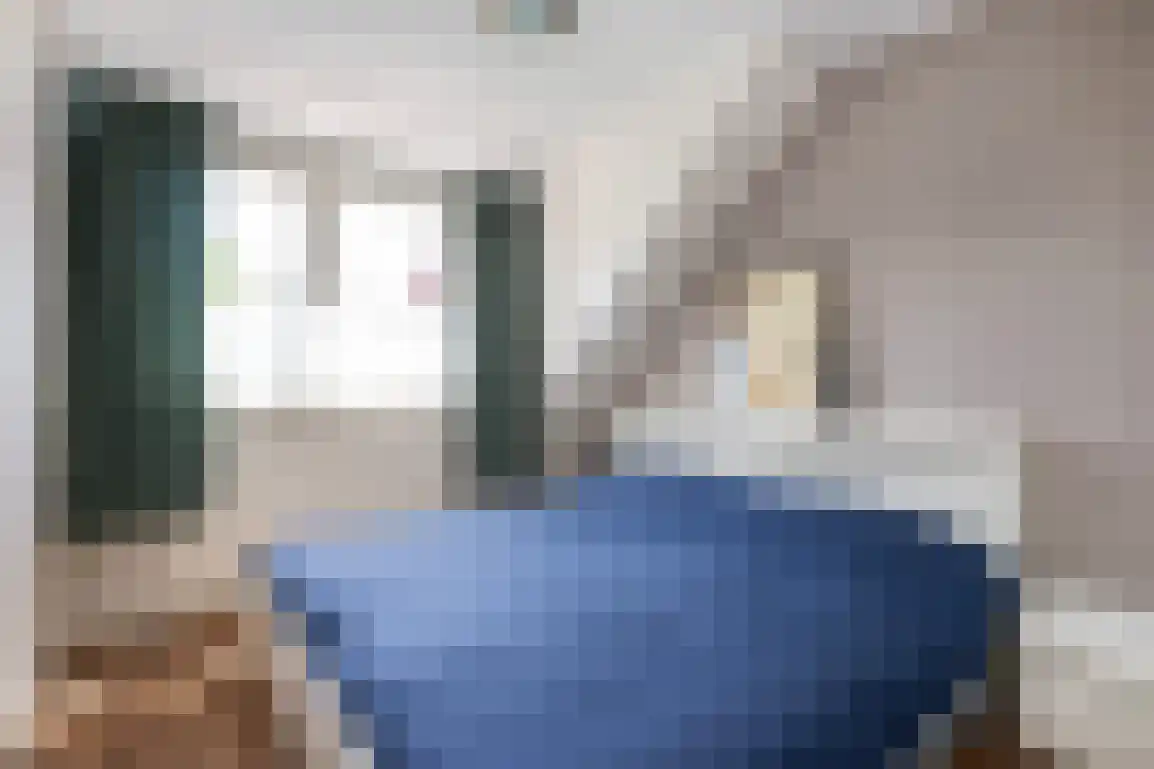 Generaal Snijdersstraat 31 Nieuwe-Tonge thumbnail 27