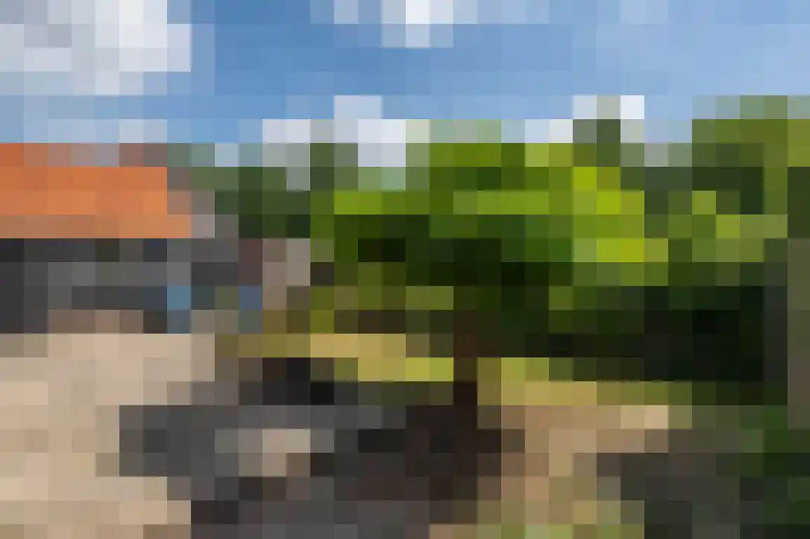 Generaal Snijdersstraat 31 Nieuwe-Tonge thumbnail 37