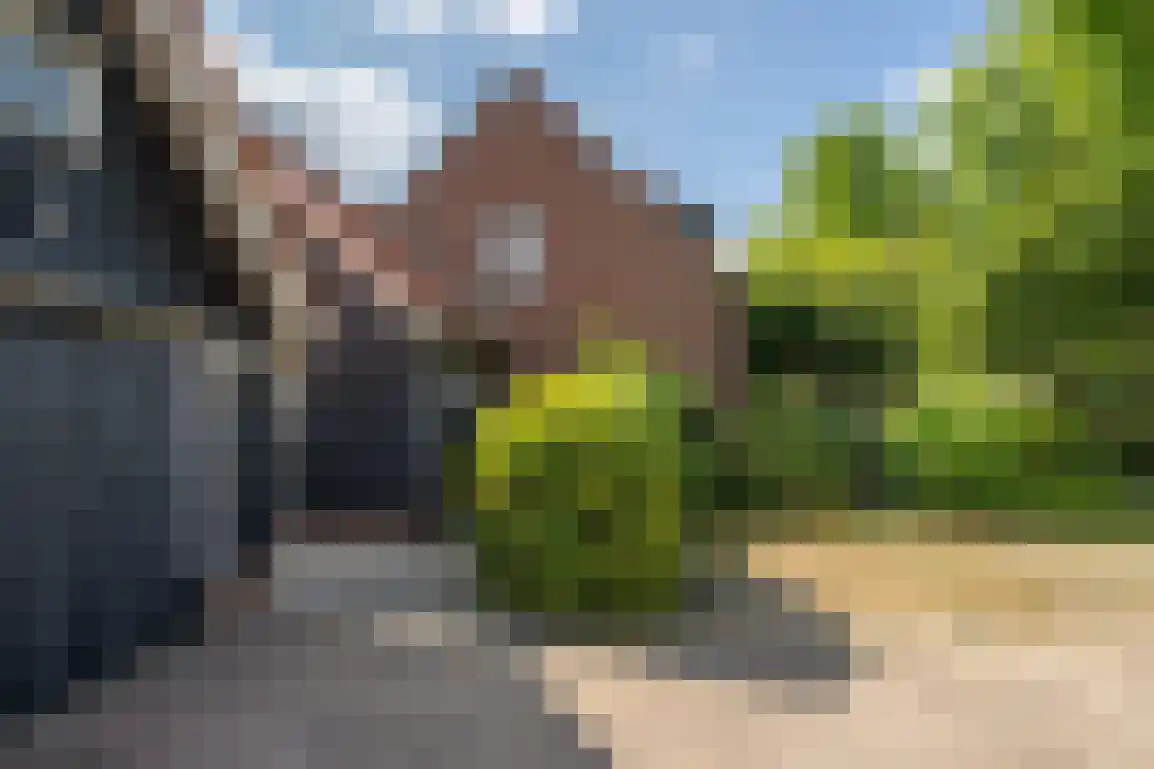 Generaal Snijdersstraat 31 Nieuwe-Tonge thumbnail 39