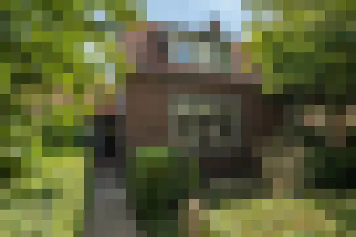 Generaal Snijdersstraat 31 Nieuwe-Tonge thumbnail 5