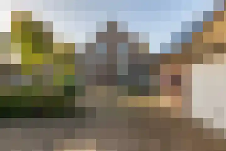 Generaal Snijdersstraat 32 Nieuwe-Tonge thumbnail 32