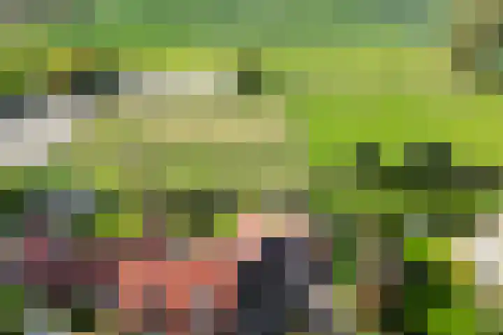 Generaal Snijdersstraat 32 Nieuwe-Tonge thumbnail 35