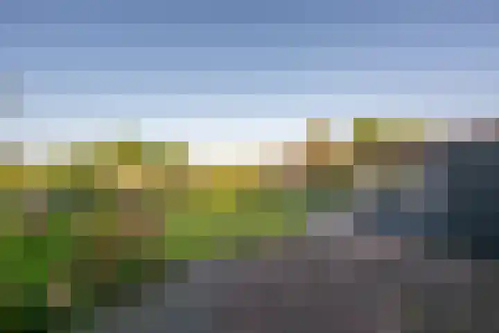 Generaal Snijdersstraat 32 Nieuwe-Tonge thumbnail 4