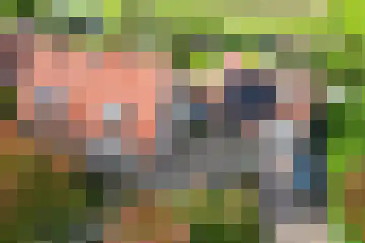 Generaal Snijdersstraat 32 Nieuwe-Tonge thumbnail 6