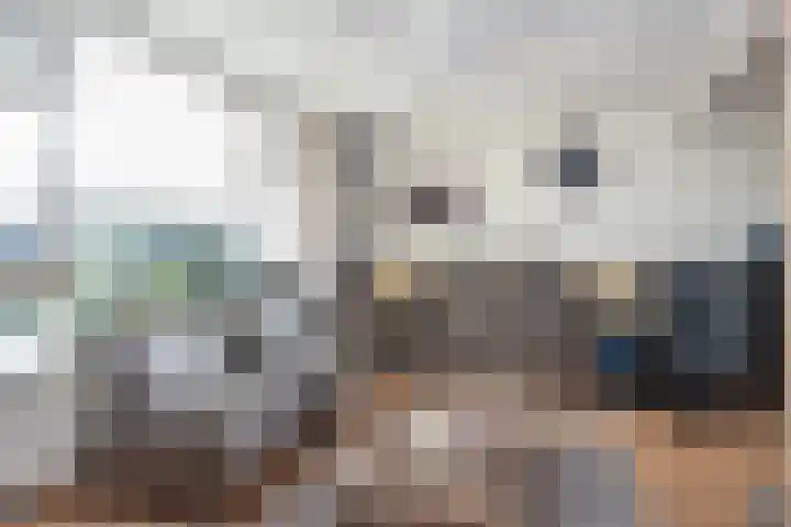 Generaal Snijdersstraat 32 Nieuwe-Tonge thumbnail 8