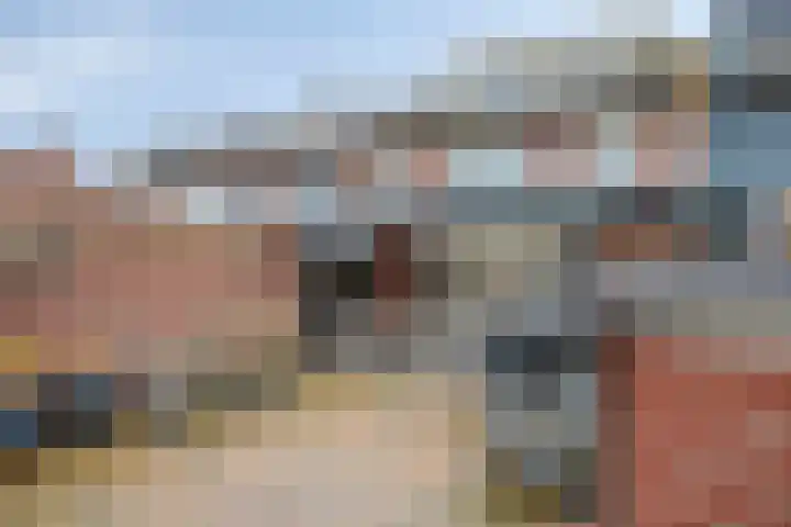 Generaal Snijdersstraat 5 Helmond thumbnail 19