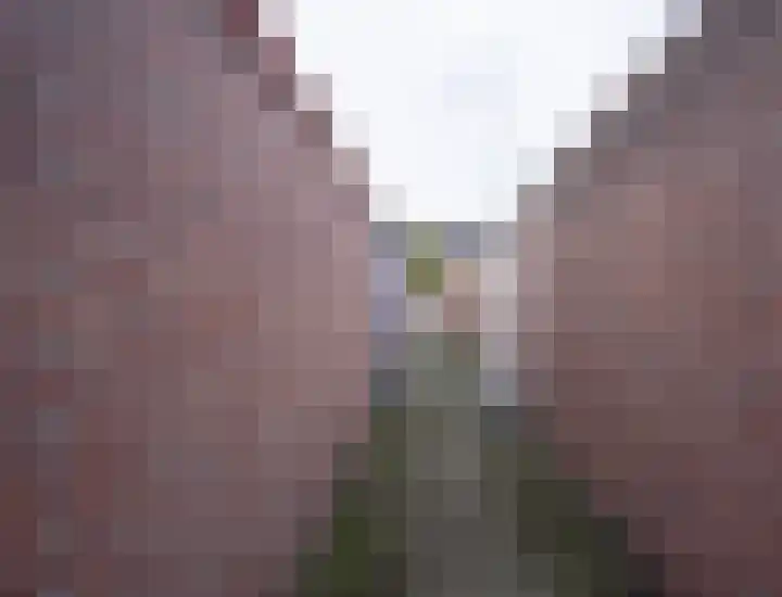 Generaal Snijdersstraat 6 Helmond thumbnail 36