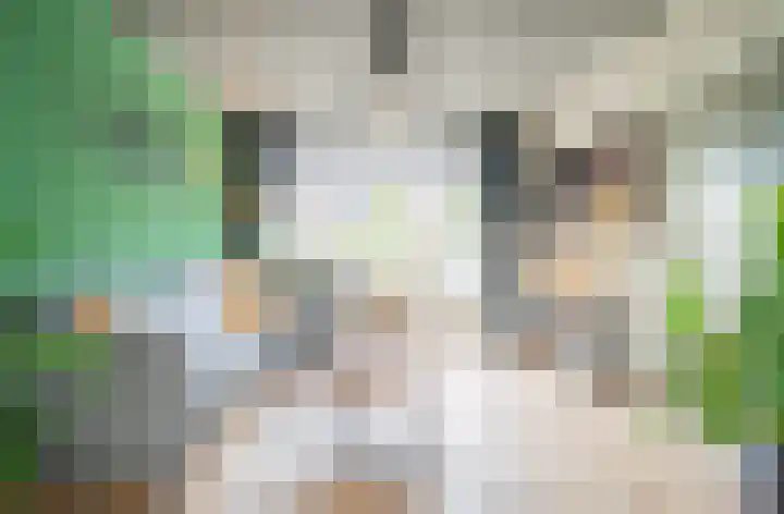 Generaal Snijdersstraat 6 Helmond thumbnail 6