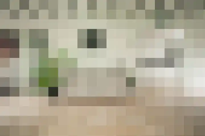 Generaal Snijdersstraat 6 Helmond thumbnail 7