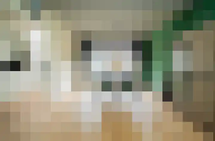 Generaal Snijdersstraat 6 Helmond thumbnail 8