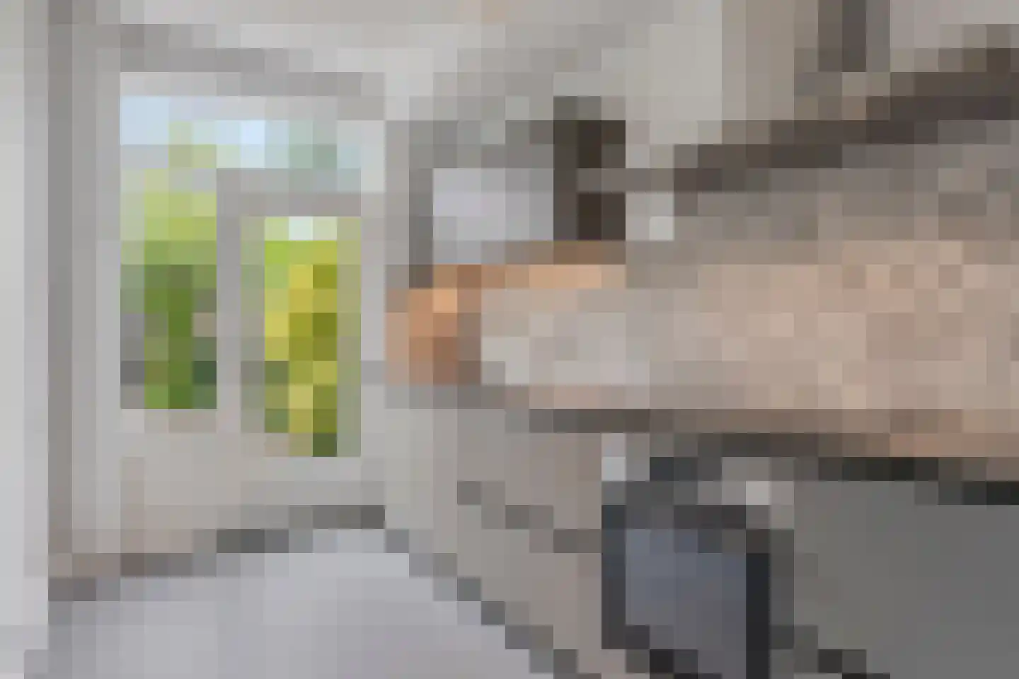 Generaal Snijdersstraat 6 's-Hertogenbosch thumbnail 6