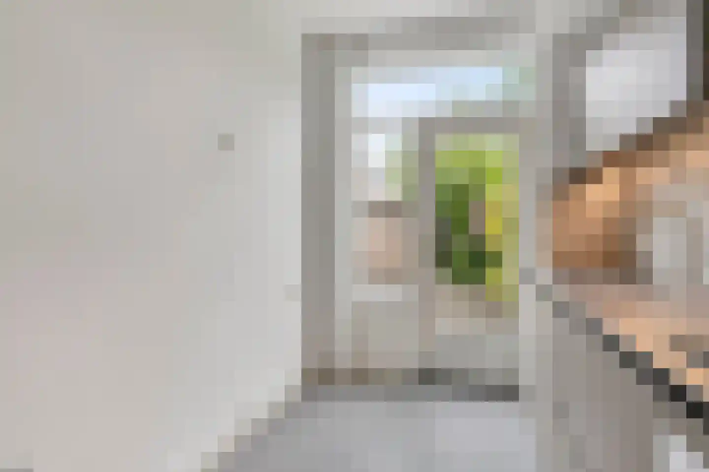 Generaal Snijdersstraat 6 's-Hertogenbosch thumbnail 8