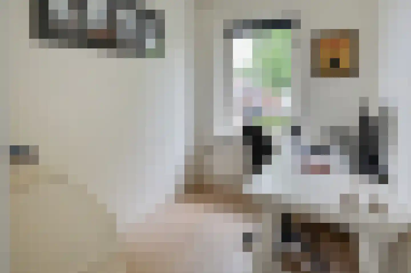 Generaal Snijdersstraat 7 Badhoevedorp thumbnail 15