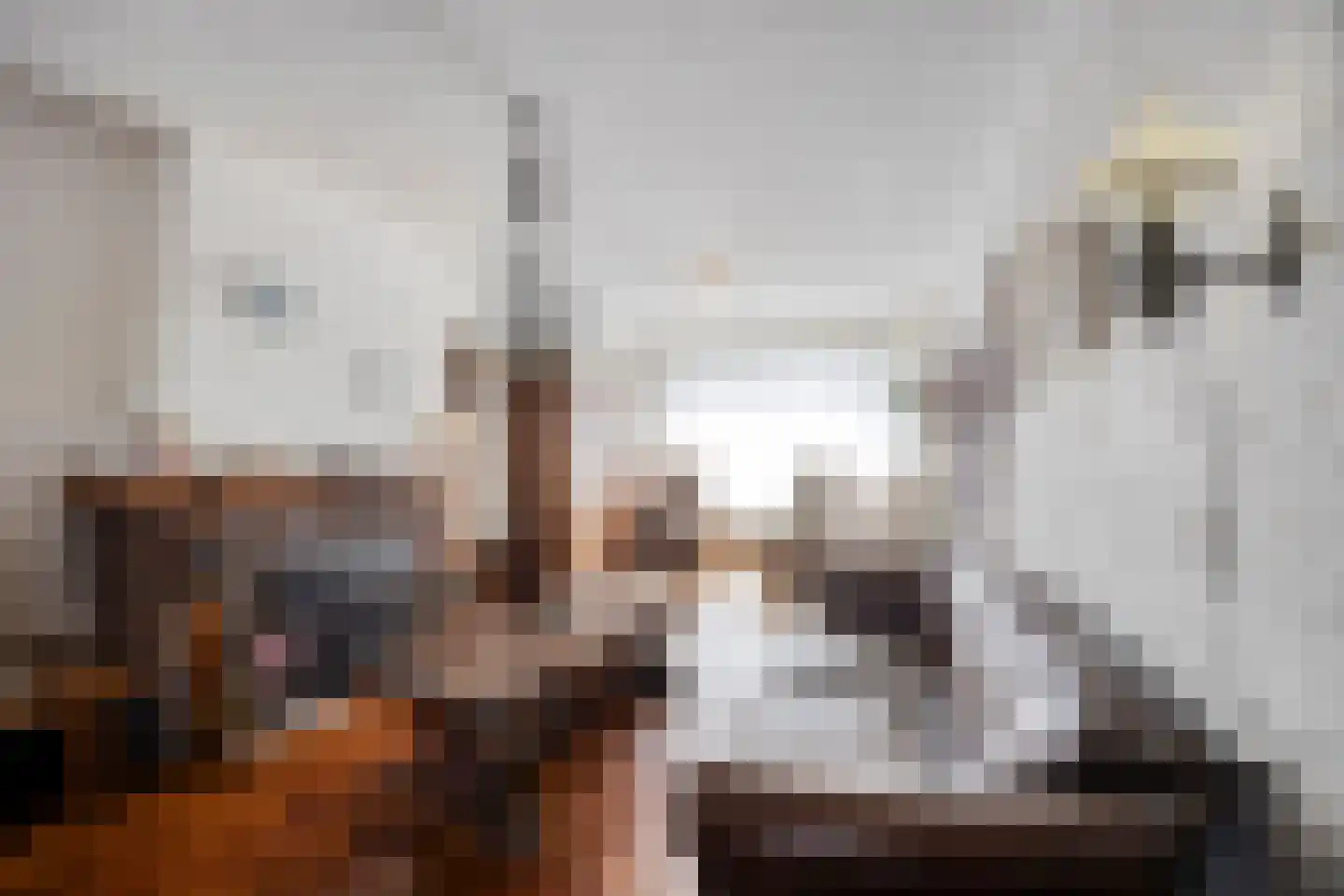Generaal Snijdersstraat 7 Helmond thumbnail 13