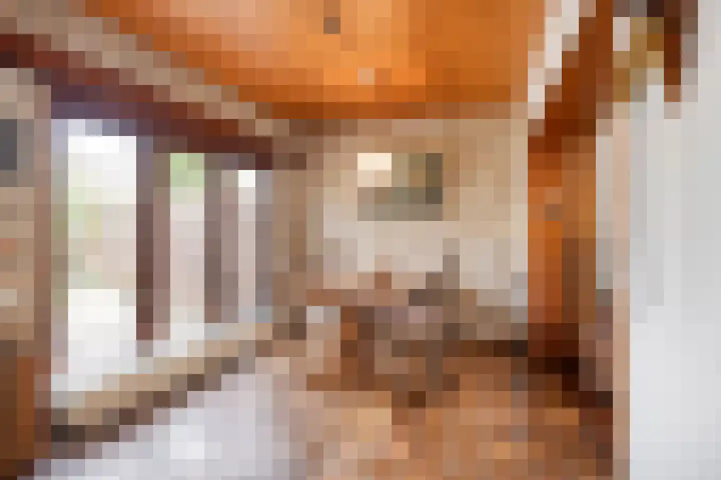 Generaal Snijdersstraat 7 Helmond thumbnail 15