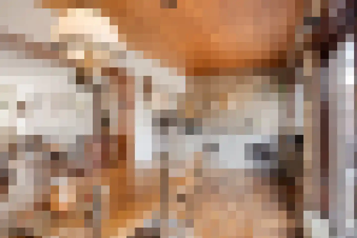 Generaal Snijdersstraat 7 Helmond thumbnail 16