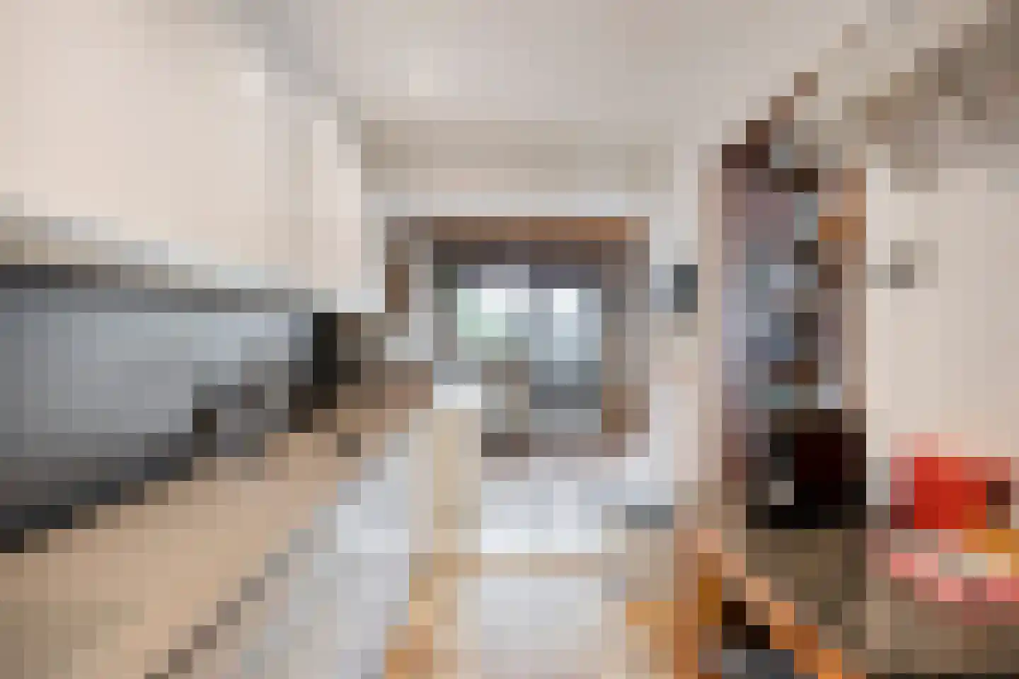 Generaal Snijdersstraat 7 Helmond thumbnail 20