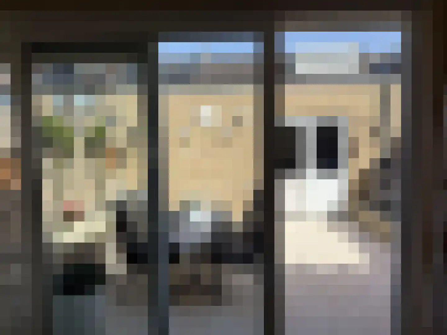 Generaal Snijdersstraat 7 's-Hertogenbosch thumbnail 5