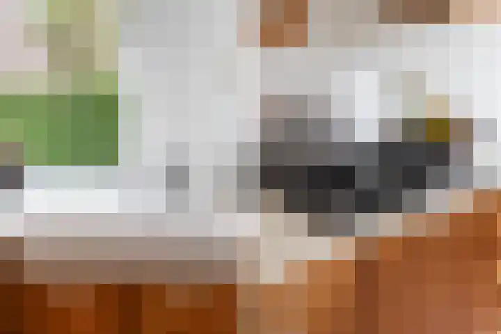 Generaal Spoorlaan 111 Rijswijk thumbnail 17