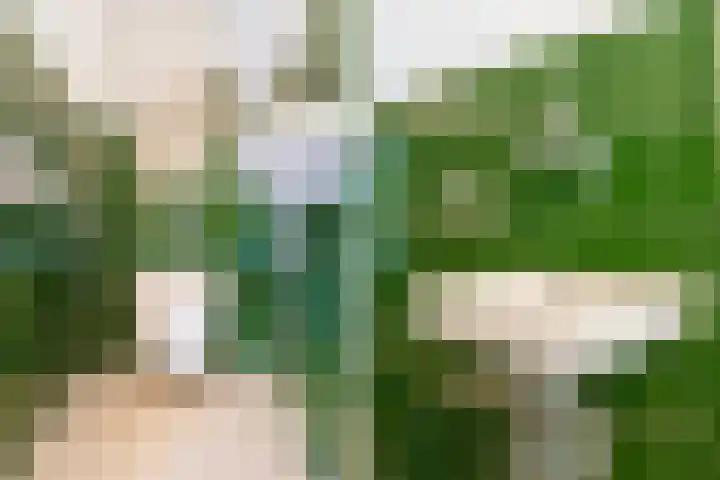 Generaal Spoorlaan 111 Rijswijk thumbnail 23